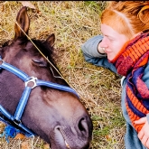 Thumbnail 2 - 2 Hour Private Meditation Session with Horses for Two