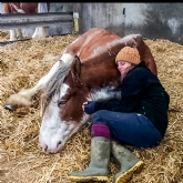 Thumbnail 3 - 2 Hour Private Meditation Session with Horses for Two