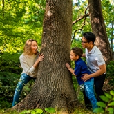 Thumbnail 11 - Two Night Glamping Pod Escapes at Sherwood Forest