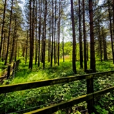 Thumbnail 9 - Two Night Glamping Pod Escapes at Sherwood Forest