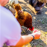 Thumbnail 10 - Pod Escapes at Stanly Villa Farm for Two