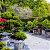 Thumbnail 10 - Entrance to The RHS Gardens for Two