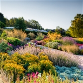 Thumbnail 11 - Entrance to The RHS Gardens for Two