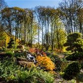 Thumbnail 4 - Entrance to The RHS Gardens for Two