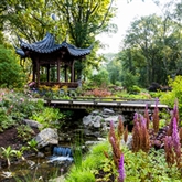 Thumbnail 6 - Entrance to The RHS Gardens for Two