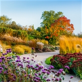 Thumbnail 9 - Entrance to The RHS Gardens for Two