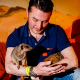 Thumbnail 2 - Meerkat and Lemur Experience for Two