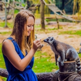 Thumbnail 8 - Meerkat and Lemur Experience for Two