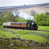 Thumbnail 9 - Steam Train Experience for Two at Ecclesbourne Valley Railway