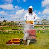 Thumbnail 1 - Half Day Beekeeping Experience For Two at More Bees Please 