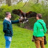 Thumbnail 6 - Hawk Walk Experience
