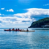 Thumbnail 3 - Sea Kayak Sunset Tour & Wild Food