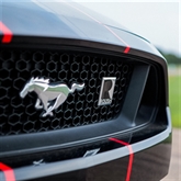Thumbnail 6 - Roush Mustang GT Blast