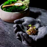 Thumbnail 11 - Private Immersive Dining Experience by BBC GBM Chef Andrew Sheridan