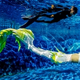 Thumbnail 3 - Mermaid Experience For One