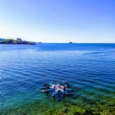 Thumbnail 10 - Standup Paddleboarding Lesson Experience