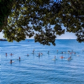 Thumbnail 7 - Standup Paddleboarding Lesson Experience