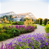 Thumbnail 3 - Entrance to RHS Garden Wisley & Afternoon Tea for Two