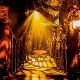 Thumbnail 8 - The Paddington Bear™ Experience & River Cruise for 1 Adult & 1 Child