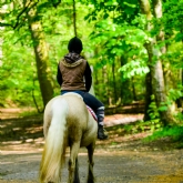 Thumbnail 6 - Exmoor Two Night Escape for Two