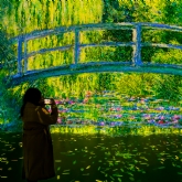 Thumbnail 4 - FRAMELESS Immersive Art Experience & 2 Course Meal