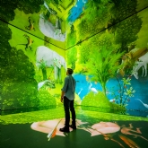 Thumbnail 8 - FRAMELESS Immersive Art Experience & 2 Course Meal