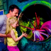 Thumbnail 1 - Family Entrance to SEA LIFE London Aquarium & Meal at Las Iguanas