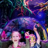 Thumbnail 3 - Family Entrance to SEA LIFE London Aquarium & Meal at Las Iguanas