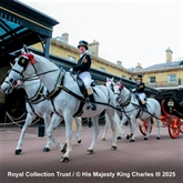 Thumbnail 6 - Entrance to The Royal Mews & Lunch at The Royal Horseguards Hotel for Two