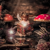Thumbnail 9 - Enchanted Fairy & Elf Photoshoot