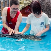 Thumbnail 3 - Swim with the Crocodiles for Two