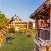 Thumbnail 2 - One Day Entrance to Chessington World of Adventures Resort for Two