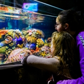 Thumbnail 6 - One Day Entrance to Chessington World of Adventures Resort for Two