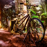 Thumbnail 7 - Entrance to The Paddington Bear™ Experience & Lunch