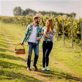 Thumbnail 1 - Hand-Picked Guided Tours