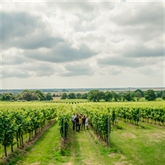 Thumbnail 5 - Gusbourne Estate Sparkling Wine Tasting for 2