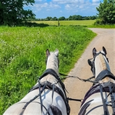 Thumbnail 7 - Horse Drawn Carriage Ride with Cream Tea for Four