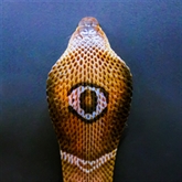 Thumbnail 7 - Venomous Snake Tour 