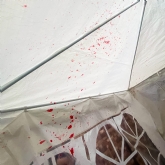 Thumbnail 6 - Ultimate CSI & Forensic Experience Day