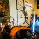 Thumbnail 9 - Magical Fairy Garden & Afternoon Tea Experience for Two