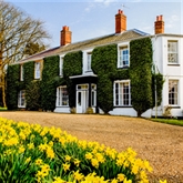 Thumbnail 10 - Flowering Jasmine Afternoon Tea for Two at The Grove Cromer