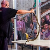 Thumbnail 1 - Venomous Snake Show