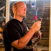Thumbnail 3 - Venomous Snake Show