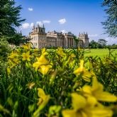 Thumbnail 1 - Entrance to Blenheim Palace & Three Course Lunch at Weston Manor for Two
