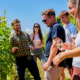 Thumbnail 6 - Tour & BBQ for Two at Wildshark Vineyard