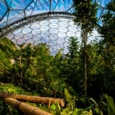 Thumbnail 2 - Eden Project Entrance for Two