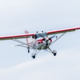 Thumbnail 11 - Once in a Lifetime (Choice)