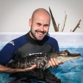 Thumbnail 1 - Swimming with the Crocodiles for Two 