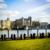Thumbnail 11 - Segway Tour of Leeds Castle for Two