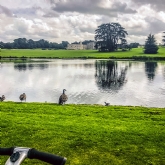 Thumbnail 9 - Segway Tour of Leeds Castle for Two